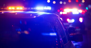 Gurnee Woodland Elementary School teacher Todd Fowler charged with disseminating child pornography, Lake County Sheriff says