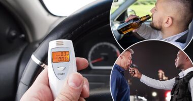 Half of drivers want court-ordered 'alcolock' breathalysers to tackle drink driving