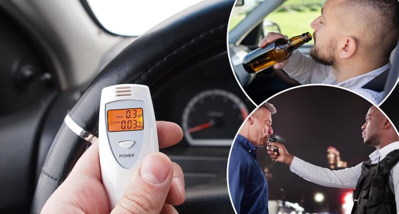 Half of drivers want court-ordered 'alcolock' breathalysers to tackle drink driving