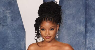 Halle Bailey Fights For Sole Custody Of Baby Halo Amid Shocking Abuse Allegations Against DDG