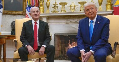 Hamas captivity survivors appeal to Netanyahu, Trump after Edan Alexander's release
