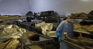 Harvard's News Cycle Just Got Worse As Medical School Morgue Director Pleads Guilty to Disgusting Crime