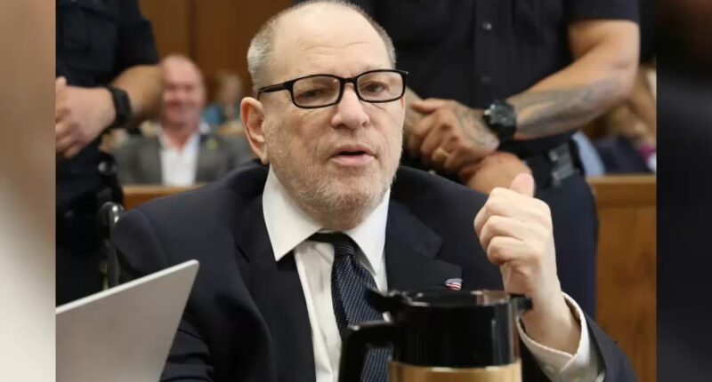 Harvey Weinstein trial: Ex-model takes the stand, marking first time she has testified