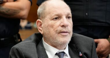 Harvey Weinstein's alleged rape victim reveals his bombshell claim about Gwyneth Paltrow and Penelope Cruz