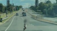 Heart-stopping moment nappy-wearing toddler dashes into dual carriageway leaving cars braking & swerving to avoid her