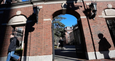 Higher Edu-Chaos: Civil Rights Laws, Declining Enrollments Put Colleges in a Bind
