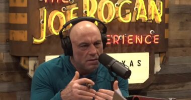 Historian who Joe Rogan slammed as his 'worst ever guest' hits back about what REALLY happened on the podcast