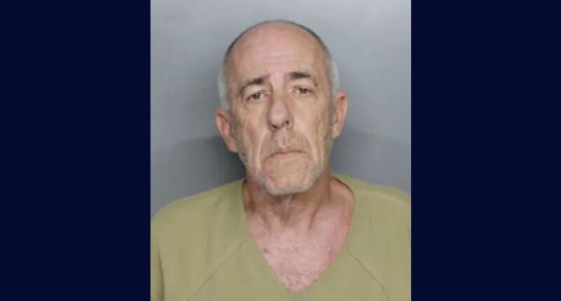 Homeowner opens fire on men selling solar panels: Cops