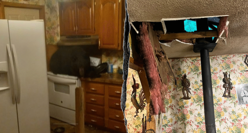 Homeowners get surprise visitor when black bear crashes through ceiling onto stove