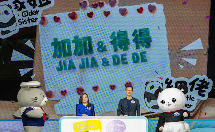 Hong Kong's baby pandas finally get names. Meet Jia Jia and De De