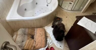 How tiny clue sparked rescue of kids trapped in ‘House of Horrors’ since Covid after neighbour revealed ‘forensic’ diary