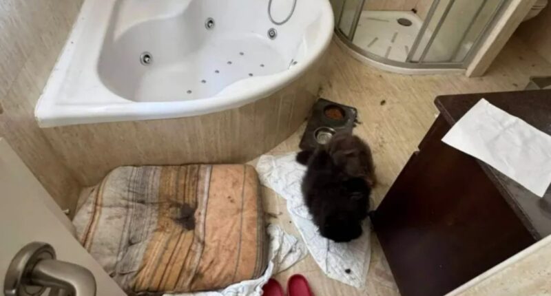 How tiny clue sparked rescue of kids trapped in ‘House of Horrors’ since Covid after neighbour revealed ‘forensic’ diary