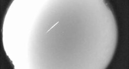 How to catch the Eta Aquarid meteor shower, debris of Halley's comet