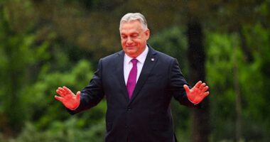 Hungarians rally in mass protest against bill allowing blacklisting of Orbán critics