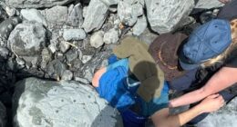 I was minutes from death pinned down by 700lb boulder after horror hike rockfall – but luck and a great wife saved me