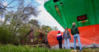 I woke to find a cargo ship in my garden – 440ft vessel crashed into my lawn but I didn’t realise until my doorbell rang