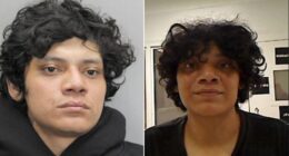 ICE Arrests MS-13 member with lengthy rap sheet after Virginia county refused to cooperate