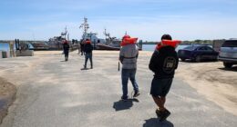 ICE storms nation's wealthiest island retreat to arrest dozens of illegal migrants…but governor is appalled