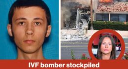 IVF bomber stockpiled deadly explosives | Reporter Replay