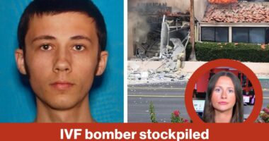 IVF bomber stockpiled deadly explosives | Reporter Replay