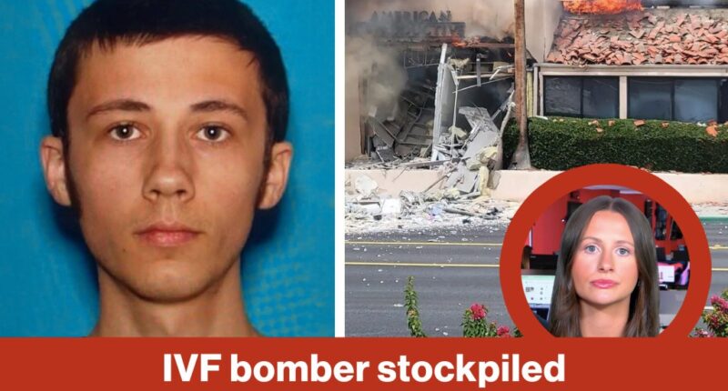 IVF bomber stockpiled deadly explosives | Reporter Replay