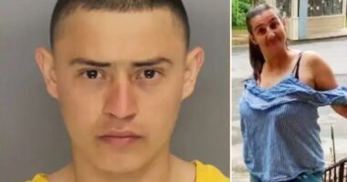 Illegal immigrant released by Biden admin pleads not guilty to murder of Georgia grandmother