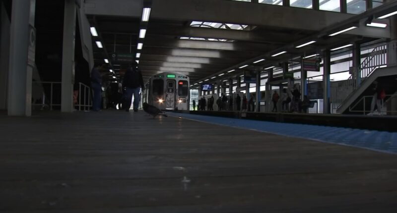 Illinois state lawmakers debating bills to reform CTA, Metra, Pace: Possible revenue sources include tolls, rideshare tax