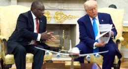 I'm glad Trump used my story to expose the shame of South Africa... I'm haunted by their vile anthem and the world should be too