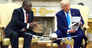 I'm glad Trump used my story to expose the shame of South Africa... I'm haunted by their vile anthem and the world should be too
