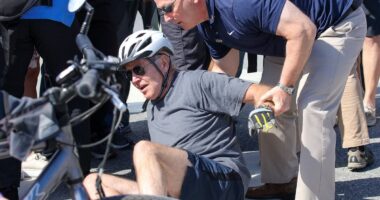 Inside the secret wheelchair plan hatched by Joe Biden's aides to hide his decline until after the election