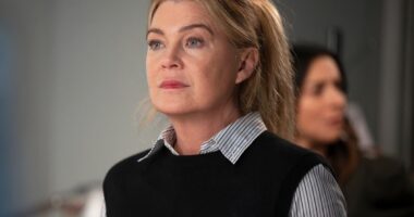 Is ‘Grey’s Anatomy’ On Tonight? ‘Grey’s Anatomy’ Season 21 Netflix Premiere Date and ABC Return Date