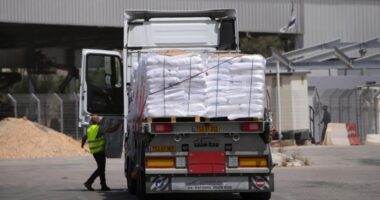 Israel will allow a small amount of food into Gaza as allies say famine means no more support