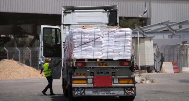 Israel will allow a small amount of food into Gaza as allies say famine means no more support
