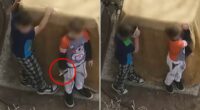 Jaw-dropping moment New Mexico cops shoot at boys, aged seven and nine, after they refused to drop handgun