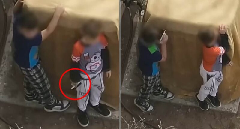 Jaw-dropping moment New Mexico cops shoot at boys, aged seven and nine, after they refused to drop handgun