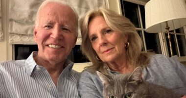 Jill Biden should be charged for ‘elder abuse’, DOJ official suggests after Joe was diagnosed with ‘aggressive’ cancer