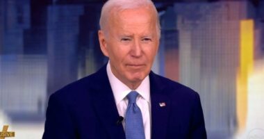 Joe Biden diagnosed with ‘aggressive’ form of prostate cancer that has spread to bone as ex-President reviews treatment
