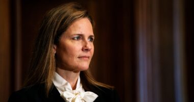 Justice Barrett questions Trump admin in birthright case