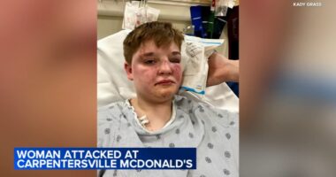 Kady Grass seriously injured, knocked unconscious in allegedly homophobic McDonald's attack in Carpentersville, Illinois