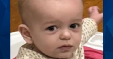 Kahleb Collins: Remains of Missing Alabama Toddler Found in ‘Burn Pile’ at Family Home
