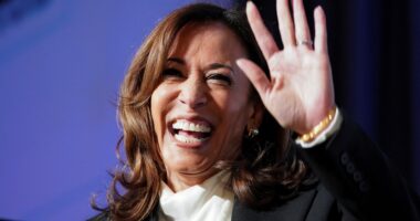 Kamala Harris makes Met Gala debut after outrage over NYC trip to pricey bar while flanked by taxpayer-funded cops
