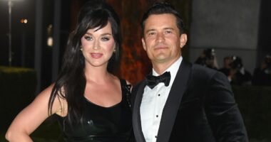 Katy Perry Pauses Show To 'Accuse' Confused Fan Of Texting Her Fiancé Orlando Bloom