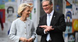 Keir Starmer makes HUGE concession as Brexit ‘surrender’ deal agreed – with UK dragged back into shackles of Europe
