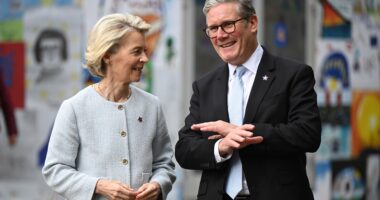Keir Starmer makes HUGE concession as Brexit ‘surrender’ deal agreed – with UK dragged back into shackles of Europe