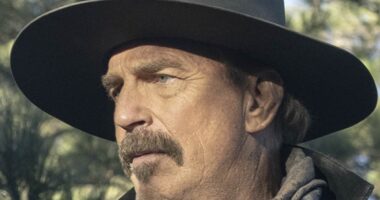 Kevin Costner sued by Horizon stunt double over 'violent, unscripted' rape scene