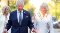 King Charles and Queen Camilla attend lavish soirée raising money for the conservation charity founded by her late brother Mark Shand