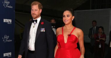 LIZ JONES: Meghan and Nicola are ruthless troublemakers who have ripped weak manchildren Harry and Brooklyn from their families. This is exactly how they did it