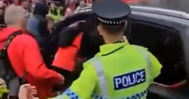 Liverpool parade suspect 'is a company director': Driver held after dozens hurt in 'car attack' is 'revealed to be married father-of-three from quiet cul-de-sac whose arrest has left neighbours stunned'