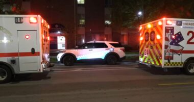 Man killed in Chicago police shooting at Grand Regency of Jackson Park in Grand Crossing suspect in Keith Harding homicide: CPD