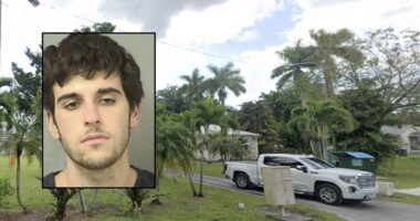 Man 'snapped,' killed mom after paperwork argument: Attorney